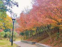 -东山公园