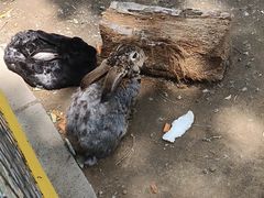-北戴河集发农业梦想王国