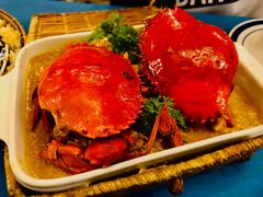 -茉莉.Red Crab