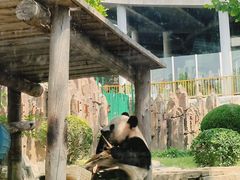 -大连森林动物园