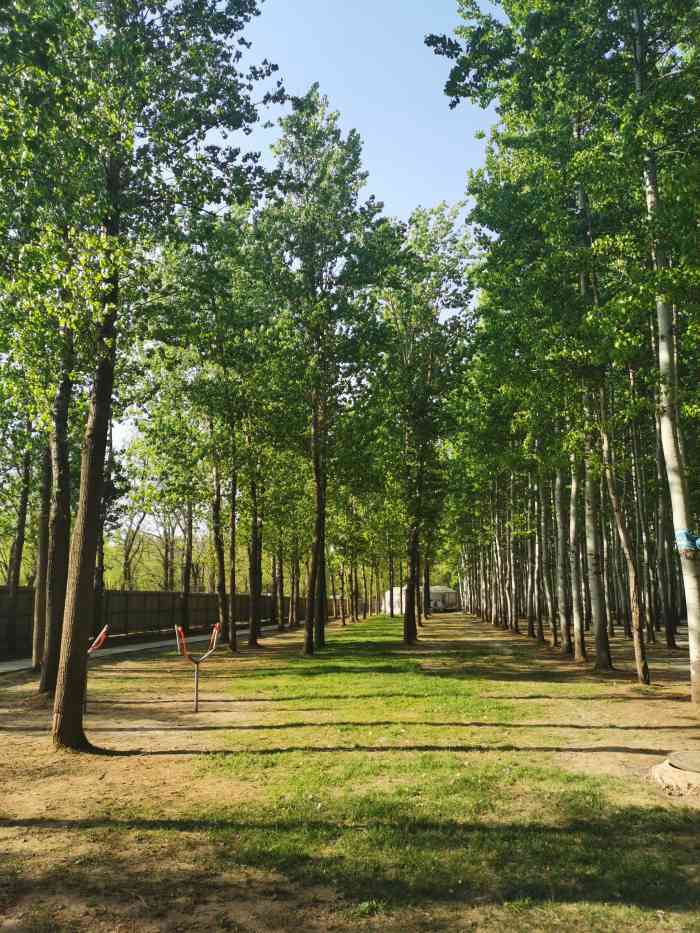 小憩杨林·露营基地-"清明节来这烧烤,地点在顺义,坐地铁到后沙.