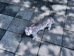 -晓港公园