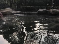 -天目湖涵田半山温泉