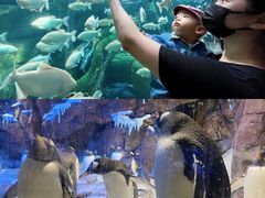 -波塞冬旅游度假区