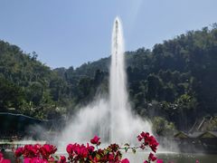 -西双版纳原始森林公园