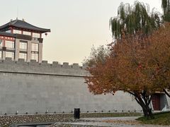 -唐城墙遗址公园