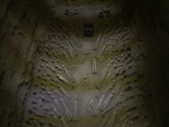 -汉景帝阳陵博物院