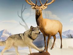 -陕西自然博物馆