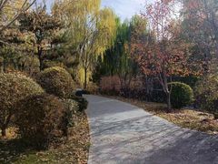 -迎泽公园