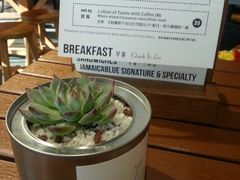 -Jamaicablue Coffeeshop(中央广场店)