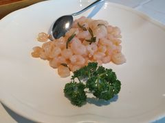 -张生记(丁香国际店)