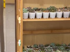 -海底捞火锅(泰安爱琴海店)