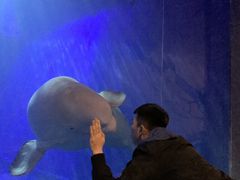 -大连圣亚海洋世界