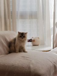 -Beauty Nails 美甲美睫皮肤管理