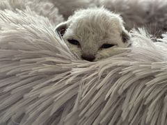 -超级猩猩健身·团课(国贸店)