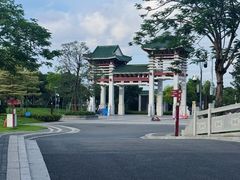 -王借岗森林公园