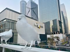 -深圳湾万象城(南山店)