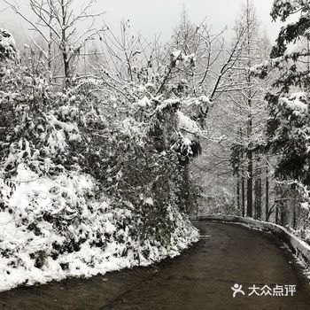 好的方法是马上叫上一部网约车直接去高铁站