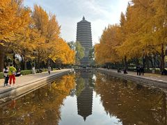 -玲珑塔公园