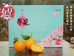 -沈阳市八家子水果批发市场