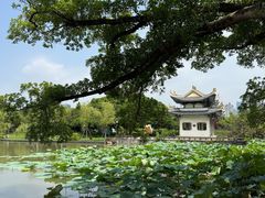 -江心屿景区