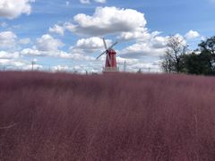 -羊亭河湿地公园