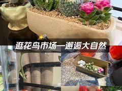 -北京市昌平区中医医院