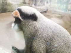 -宁波野生动物园