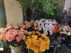 -SONGUOLIFE松果咖啡(七莘路店)