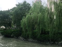 -苏州河梦清园环保主题公园