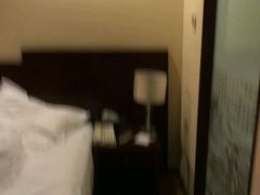 -天安瑞嘉酒店