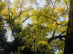 -无锡惠山寺
