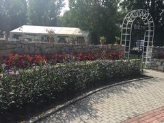 -紫海香堤香草艺术庄园