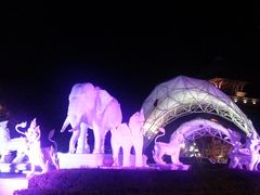 -清迈夜间动物园