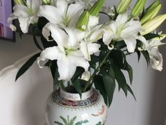 -爱尚幸福鲜花(上地实体店)