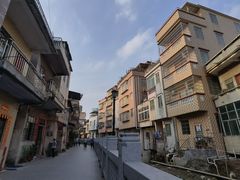 -长洲岛
