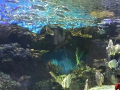 -华夏文旅海洋公园