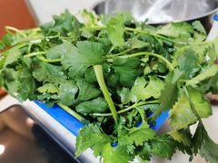 香菜-胡须佬鸡煲四季火锅(龙珠大道店)