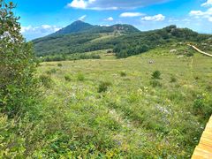 -白草畔自然风景区