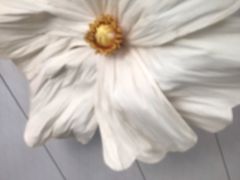 -玉泉观