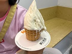 -野人先生现做冰淇淋(北京环宇荟店)