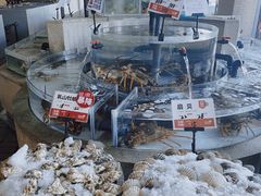 -万龙洲海鲜(南新仓店)