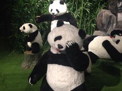 iphone_upload_pic-成都泰迪熊博物馆