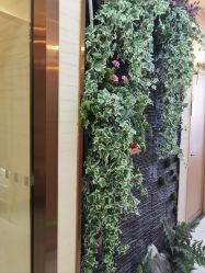 -芳朵美容养生SPA