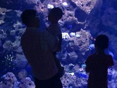 -哈尔滨波塞冬海底世界