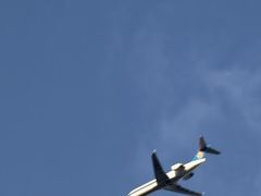 -盛兴面馆(真儒大厦店)