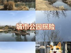 -尚贤河湿地