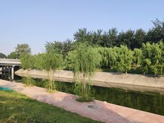 -巴依老爷新疆美食(望京小街店)