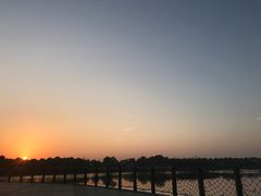 -上海都市菜园
