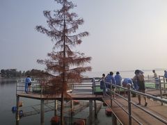 -山湖温泉